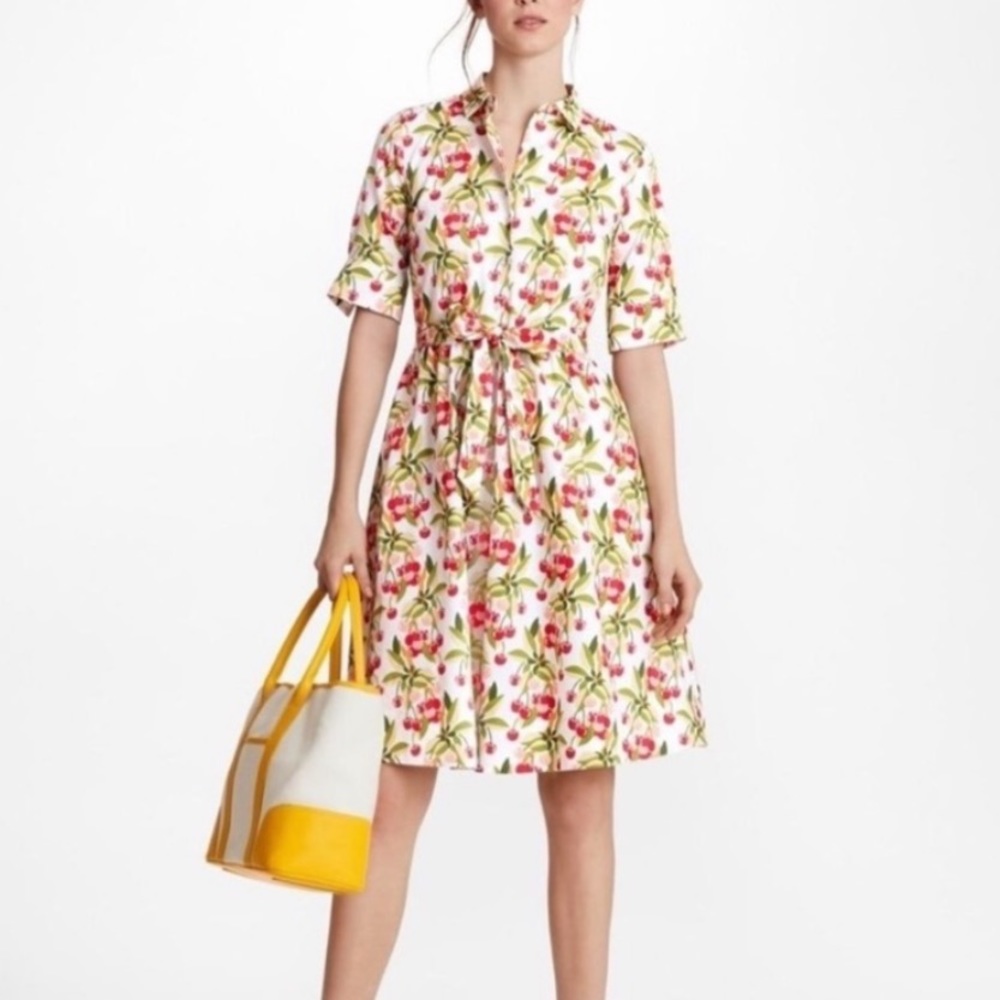 Cherries Jubilee Dress - Brooks Brothers | Size 10